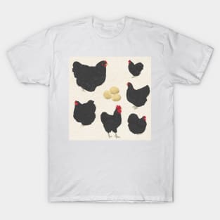 Black Orpington Chicken White T-Shirt